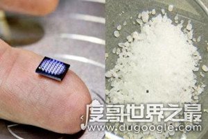 世界最小电脑，只有1毫米需显微镜才看得清(和盐粒差不多大)