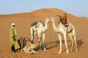 全球最热的国家，位于北非的利比亚(最高温度57.8°C)