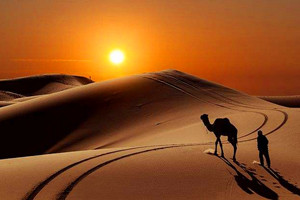 中国最大的沙漠排名，第一为塔克拉玛干沙漠(33.76万平方千米)