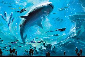 世界上最大的水族馆，乔治亚水族馆(全球最大水族馆排名)