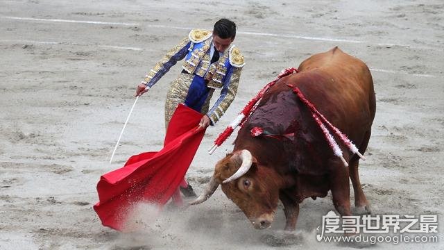  西班牙斗牛士为什么要挥舞红色的布 吸引人的注意(牛是色盲)