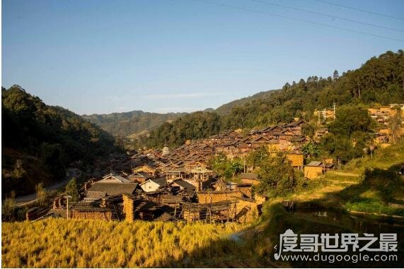 中国人口文化第一村，贵州占里村的秘密(换花草能决定生男生女)