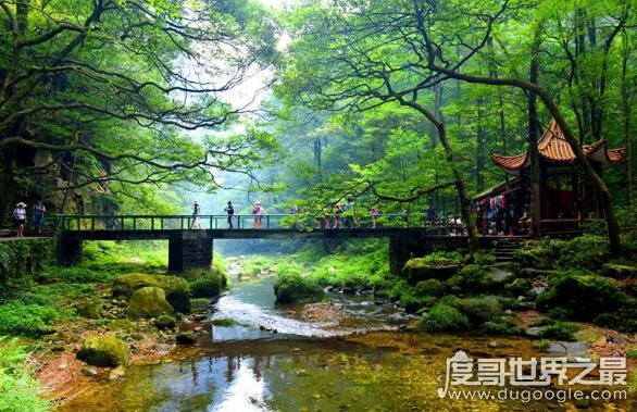 中国第一座国家森林公园在哪 张家界国家森林公园(在湖南)
