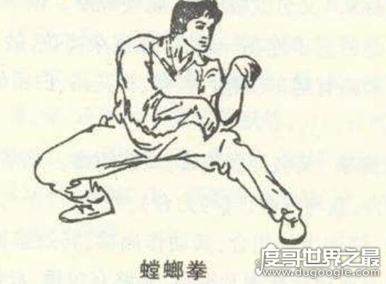 中国武术最凶狠的拳种排名 八极拳最凶狠(太极拳没上榜)