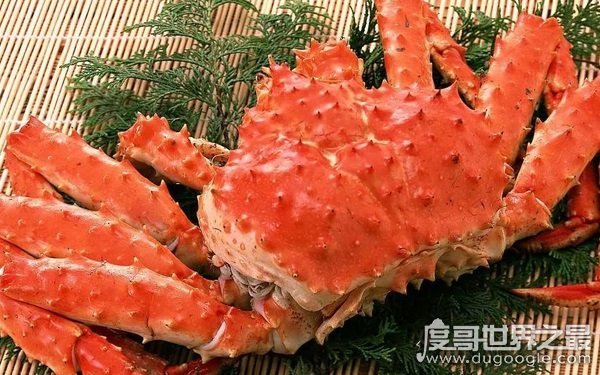 世界上最贵的螃蟹排名 帝王蟹体积庞大（肉质鲜美）