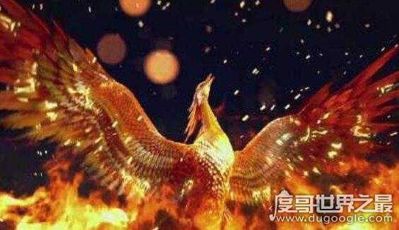 世界上最后一只神兽 黑龙江村民拍到凤凰神兽(真实图片)