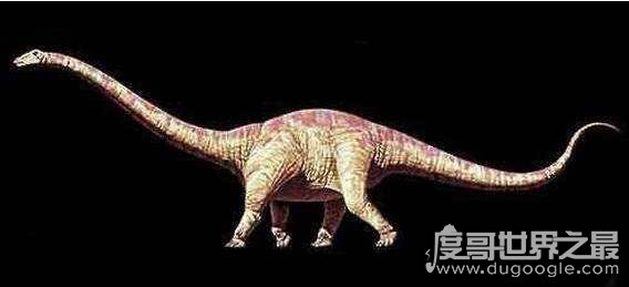 关于恐龙的十大恐龙之最 最长恐龙地震龙/最小恐龙美颌龙