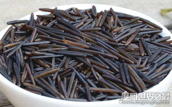 世界上颗粒最长的大米 罕见的黑色菰米（长度可达几厘米）