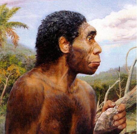 世界上第一个死亡的人 古猿人(人类是由它进化而来)