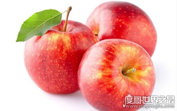 公认最好吃的水果排名 第一种人人都爱吃（苹果）