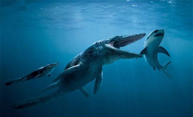 世界上咬合力最强的鲸鱼 龙王鲸可摧毁超过1600公斤重的头颅(已绝种)