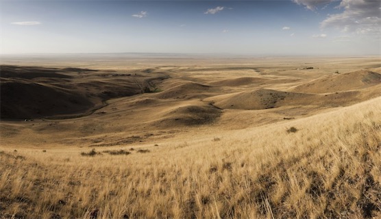 世界上最大的丘陵 哈萨克丘陵东西长达1200多千米(气候干旱)