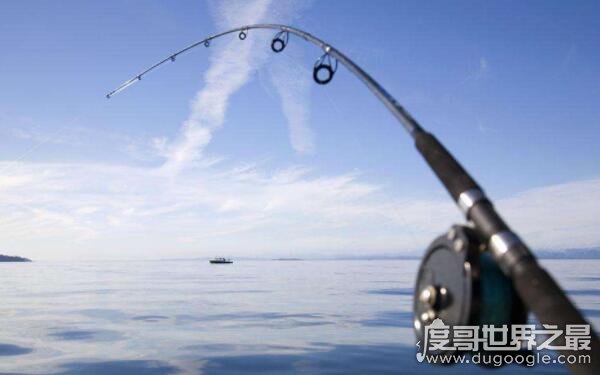 世界上最长的鱼竿 超长竿不超过15米（根据鱼池选择鱼竿）