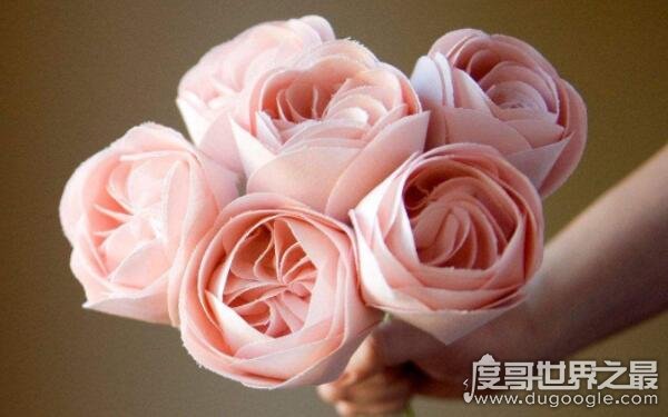 世界上最贵的十种花是哪些 朱丽叶玫瑰世界最贵（售价2695万元）