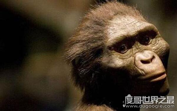 世界上第一个猿人女名字为“露西” 年仅20岁女性（古人类化石）