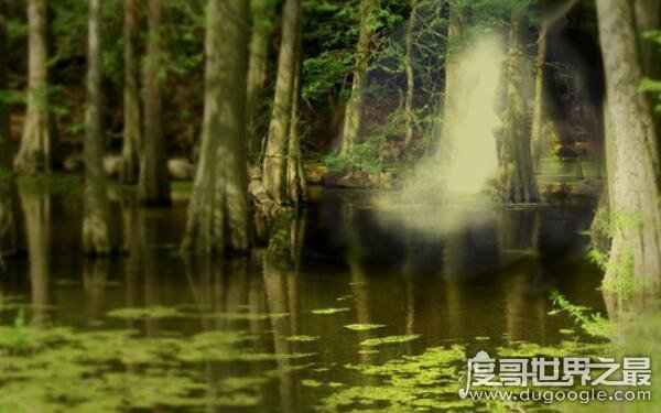 世界上最危险的沼泽 又名幽灵沼泽（曼查克沼泽）